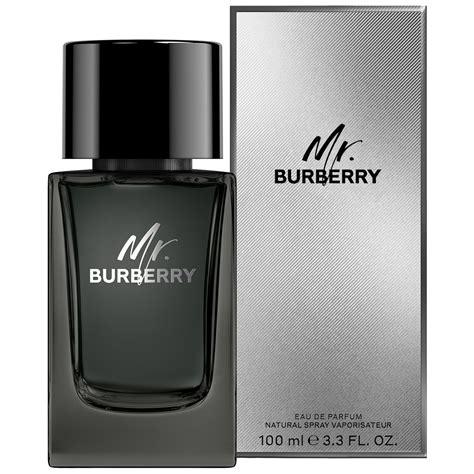 burberry mr burberry